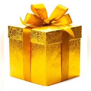 RESERVED Bundle for @vegansunshine00